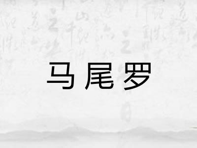 马尾罗 马尾罗