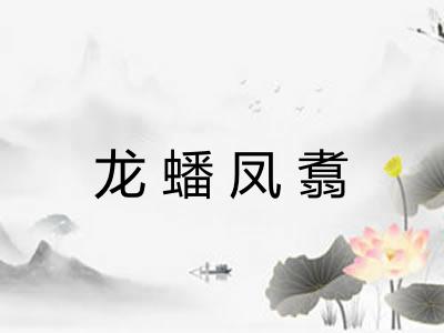 龙蟠凤翥 龙蟠凤翥