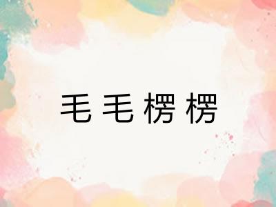毛毛楞楞 毛毛楞楞