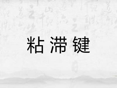 粘滞键 粘滞键