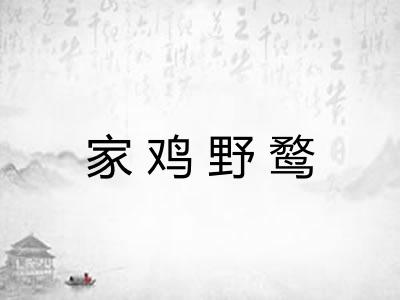 家鸡野鹜 家鸡野鹜