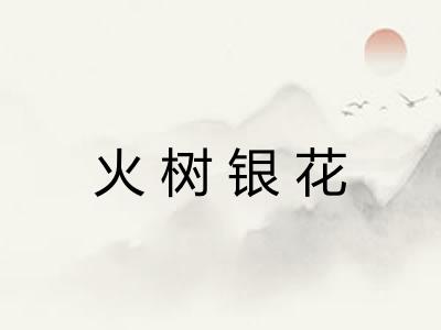 火树银花 火树银花