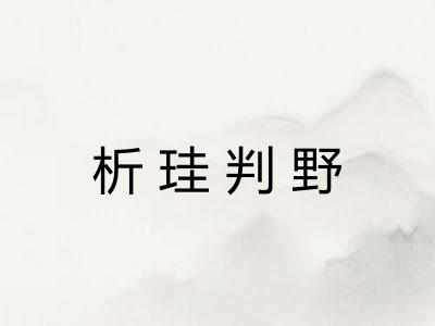 析珪判野 析珪判野