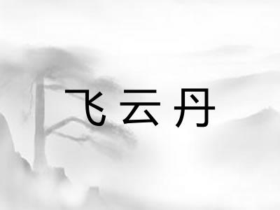 飞云丹 飞云丹