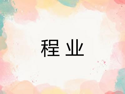 程业