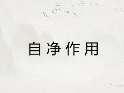 自净作用 自净作用