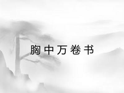胸中万卷书 胸中万卷书