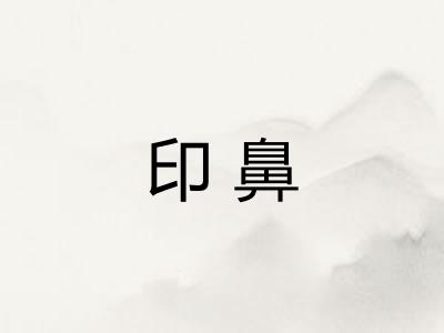 印鼻 印鼻