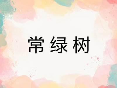 常绿树 常绿树