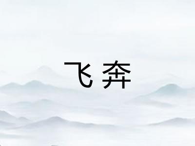 飞奔 飞奔