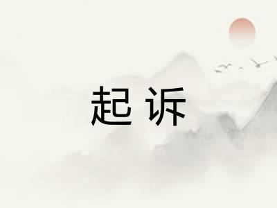 起诉 起诉