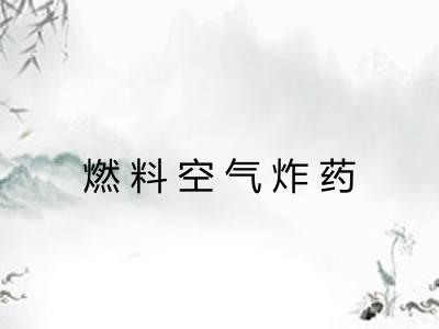 燃料空气炸药 燃料空气炸药