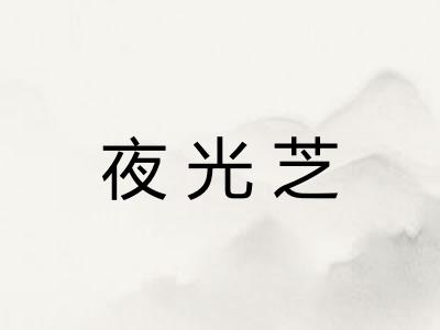 夜光芝