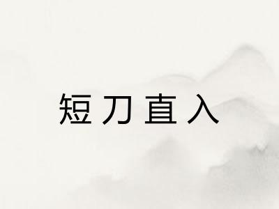 短刀直入