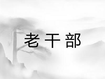 老干部