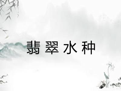 翡翠水种 翡翠水种