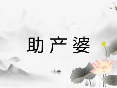 助产婆 助产婆
