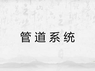 管道系统 管道系统
