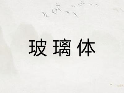 玻璃体 玻璃体