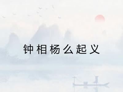钟相杨么起义 钟相杨么起义