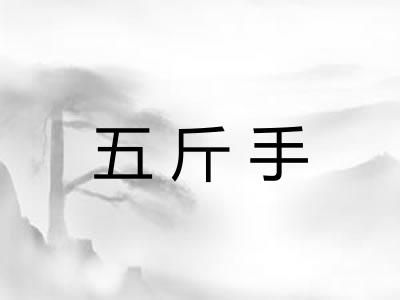 五斤手
