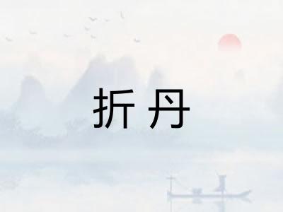 折丹 折丹