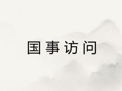 国事访问 国事访问