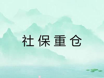 社保重仓 社保重仓