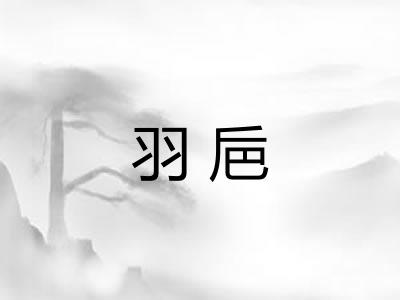 羽巵