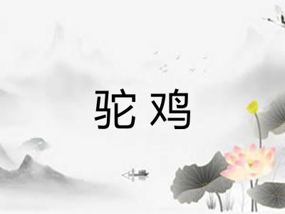 驼鸡