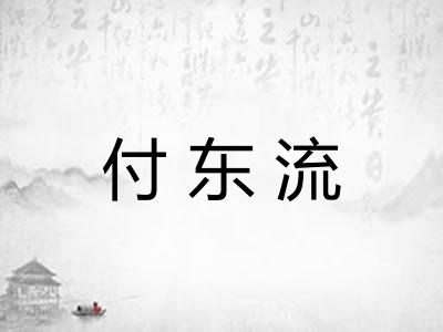 付东流