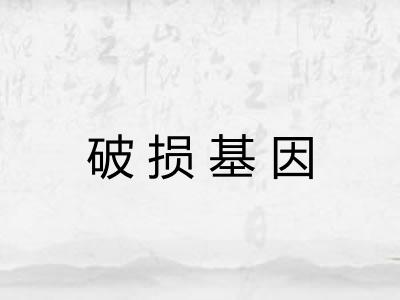 破损基因 破损基因