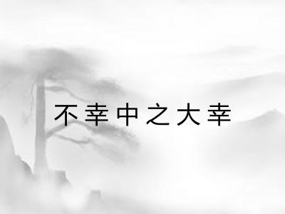 不幸中之大幸 不幸中之大幸