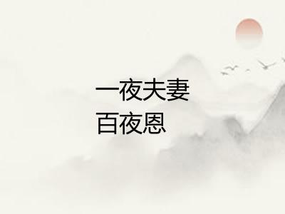 一夜夫妻百夜恩 一夜夫妻百夜恩