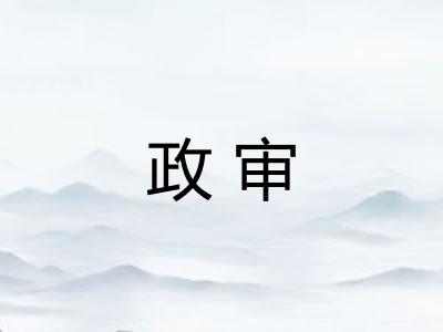 政审 政审