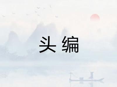 头编