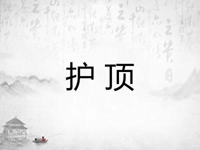 护顶 护顶