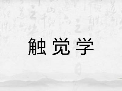 触觉学 触觉学
