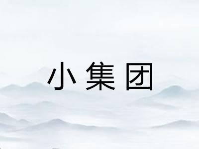 小集团 小集团