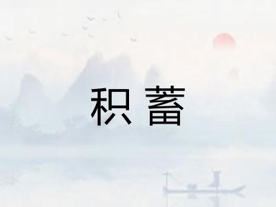 积蓄 积蓄