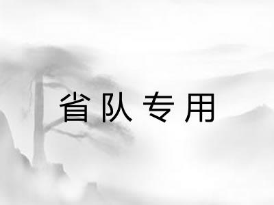 省队专用 省队专用