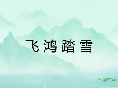 飞鸿踏雪 飞鸿踏雪