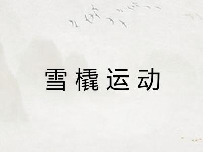 雪橇运动 雪橇运动