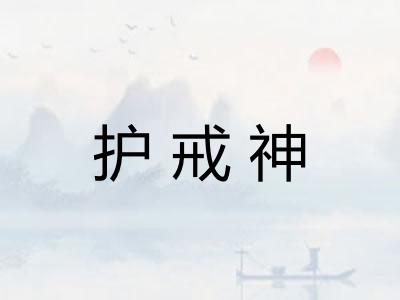 护戒神 护戒神