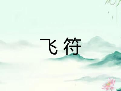 飞符 飞符