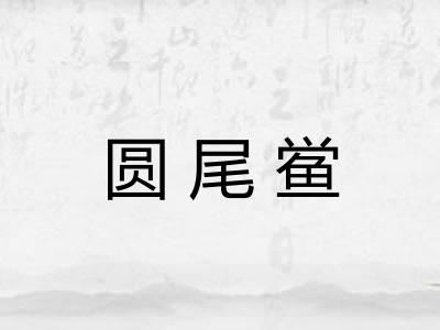 圆尾鲎 圆尾鲎