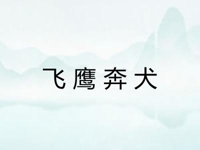 飞鹰奔犬 飞鹰奔犬