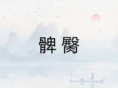 髀臋