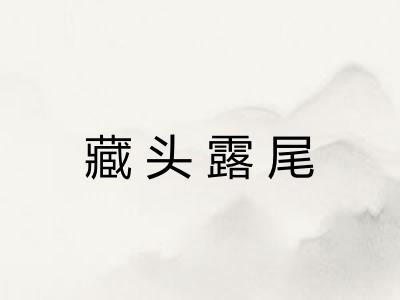 藏头露尾 藏头露尾