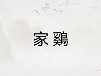 家鷄 家鷄